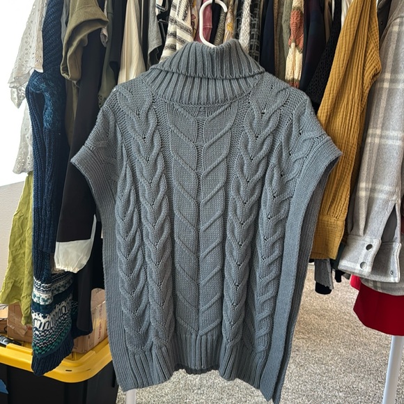 Blue Turtle - Picture 1 of 1